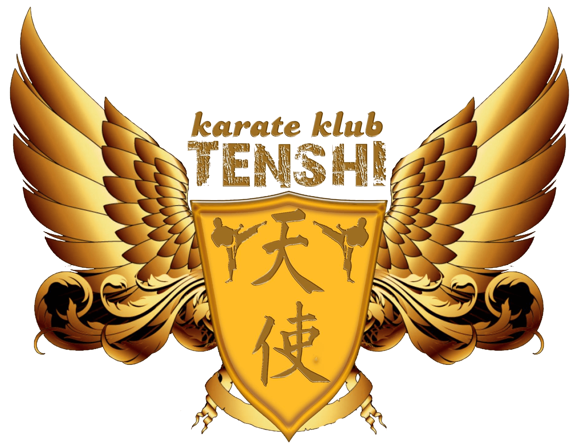 Karate Klub Tenši - Zaječar