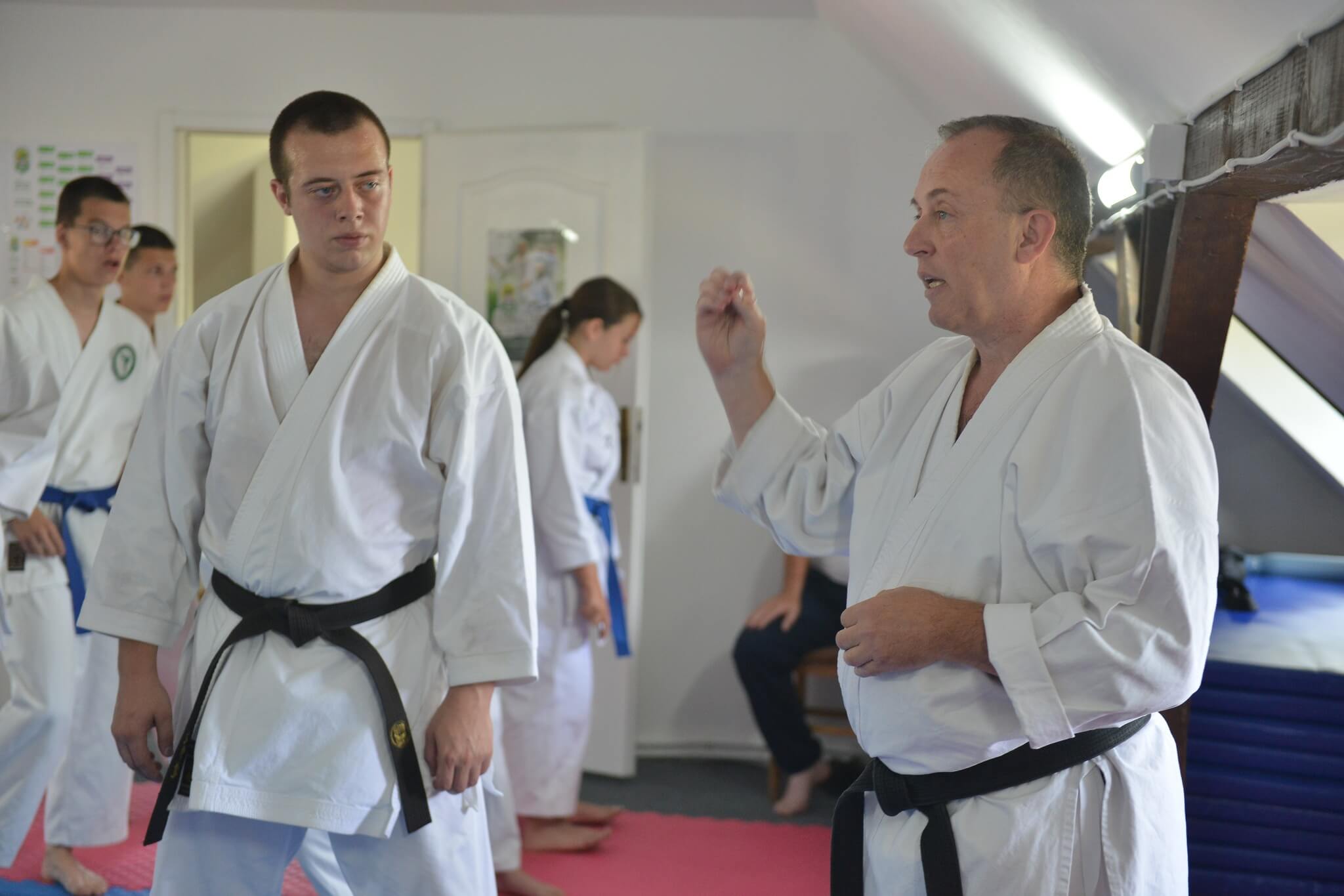 Šta je Tradicionalni Karate